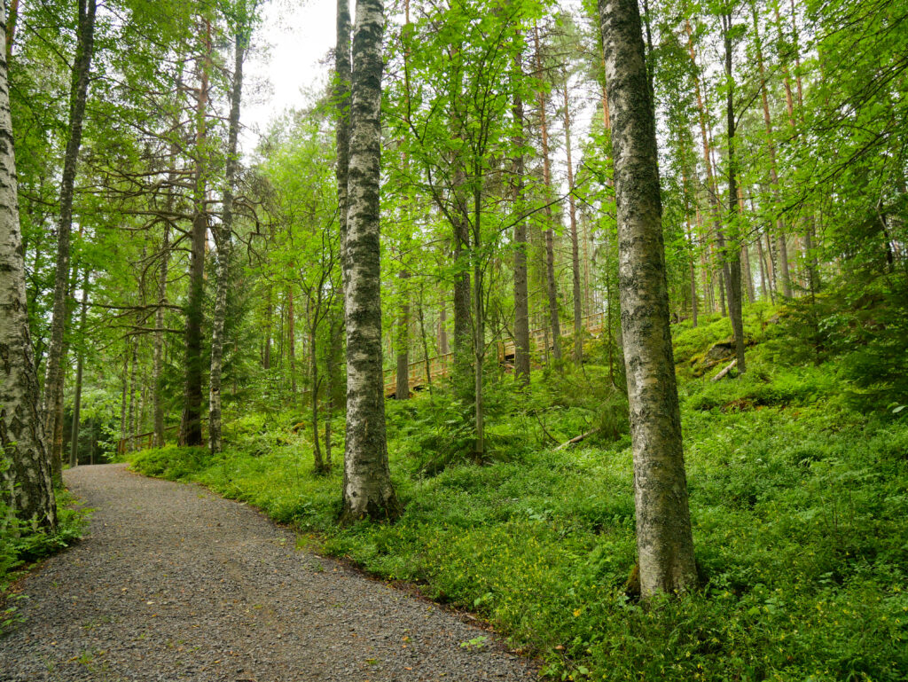 kuntoportaat