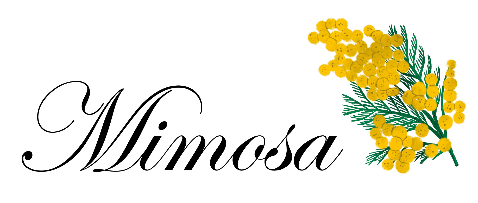 Hyvinvointipalvelut Kotihoiva Mimosa