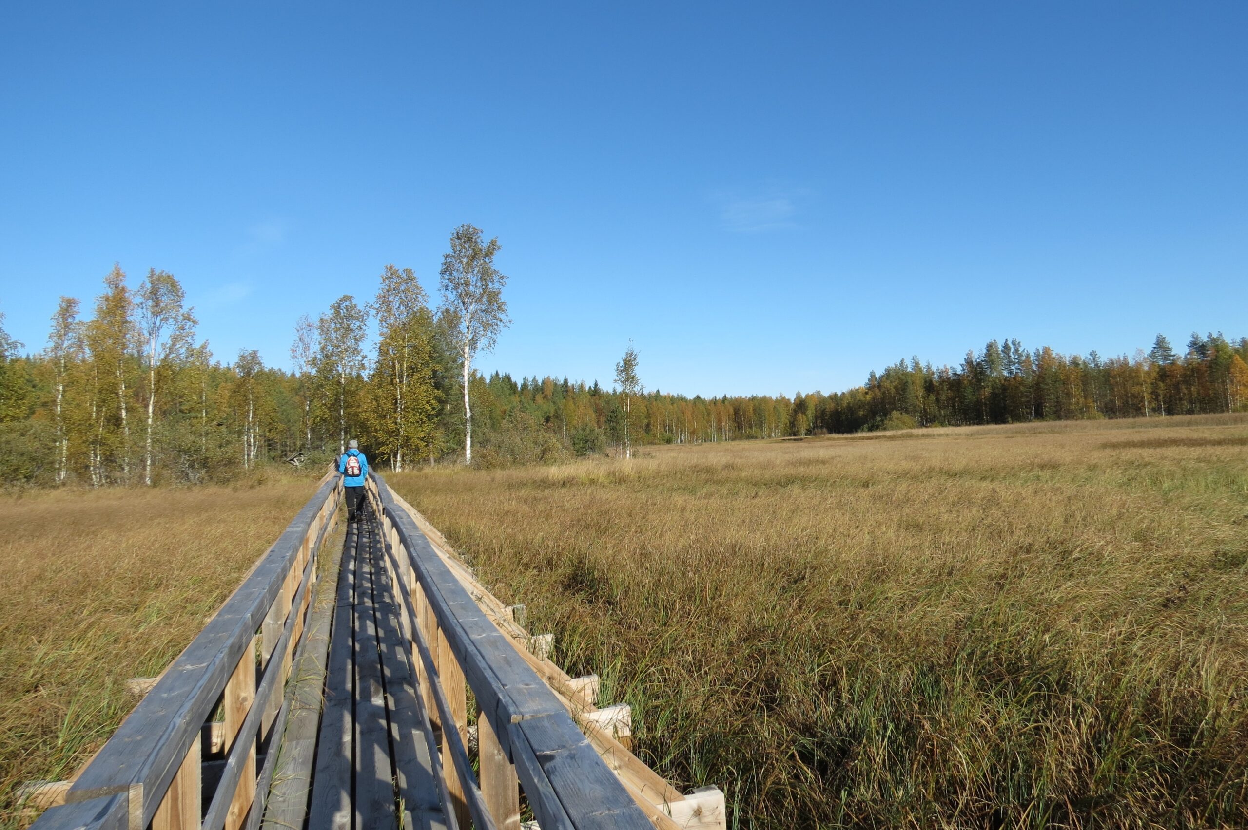 Heinäjoen ponttoonisilta