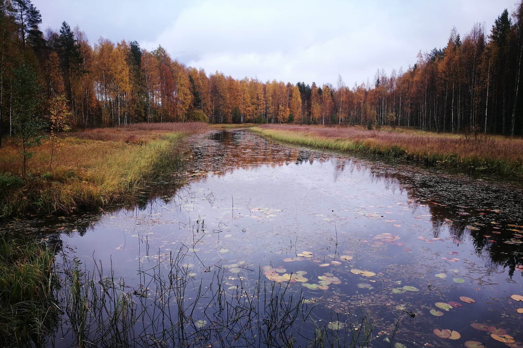Heinäjoki maisema