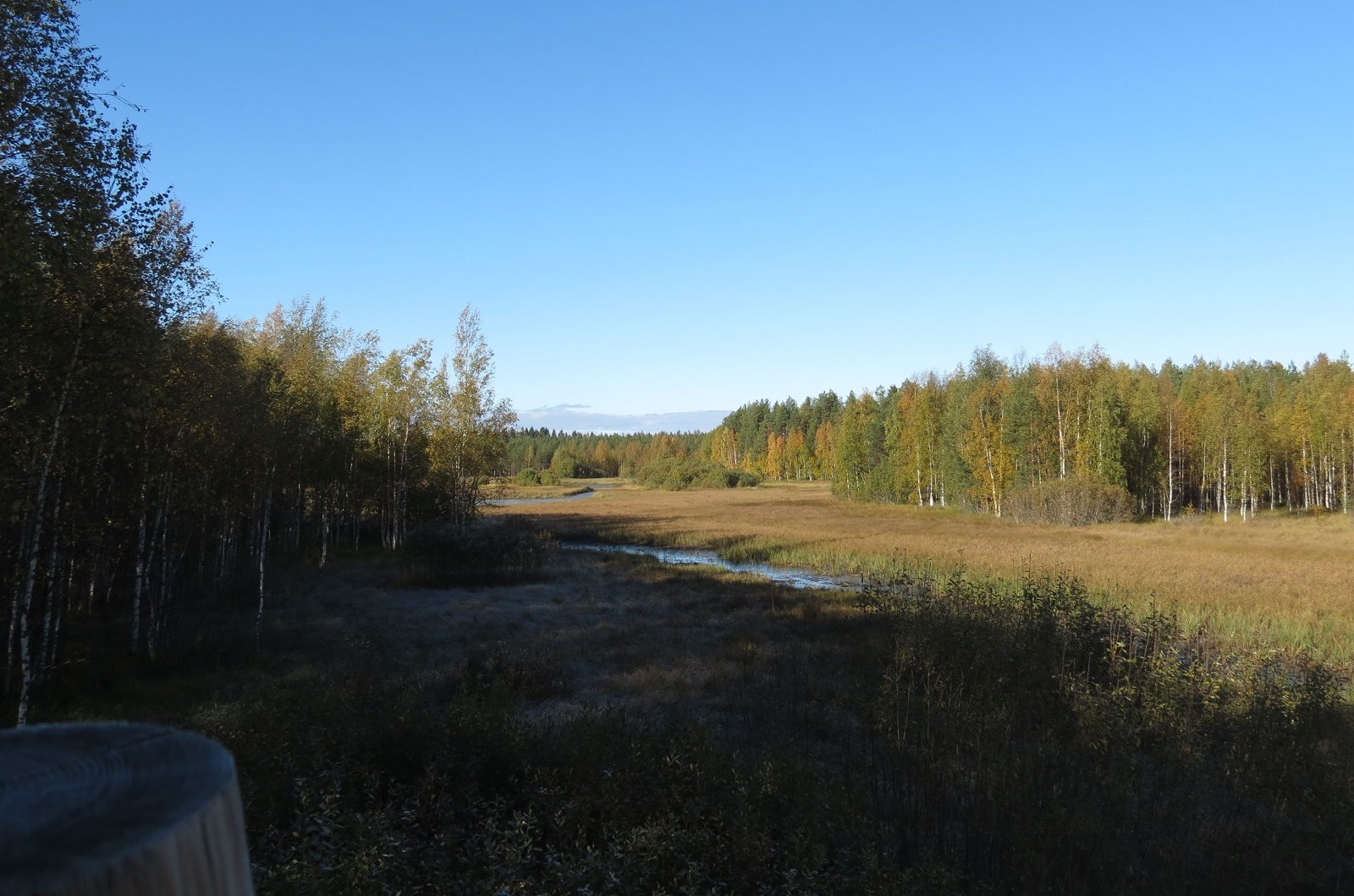 Näköala Heinäjoen luontopolku torni