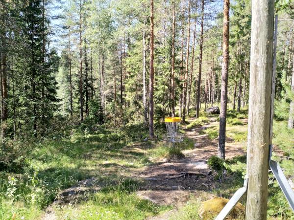 Ritovuori-frisbeegolf