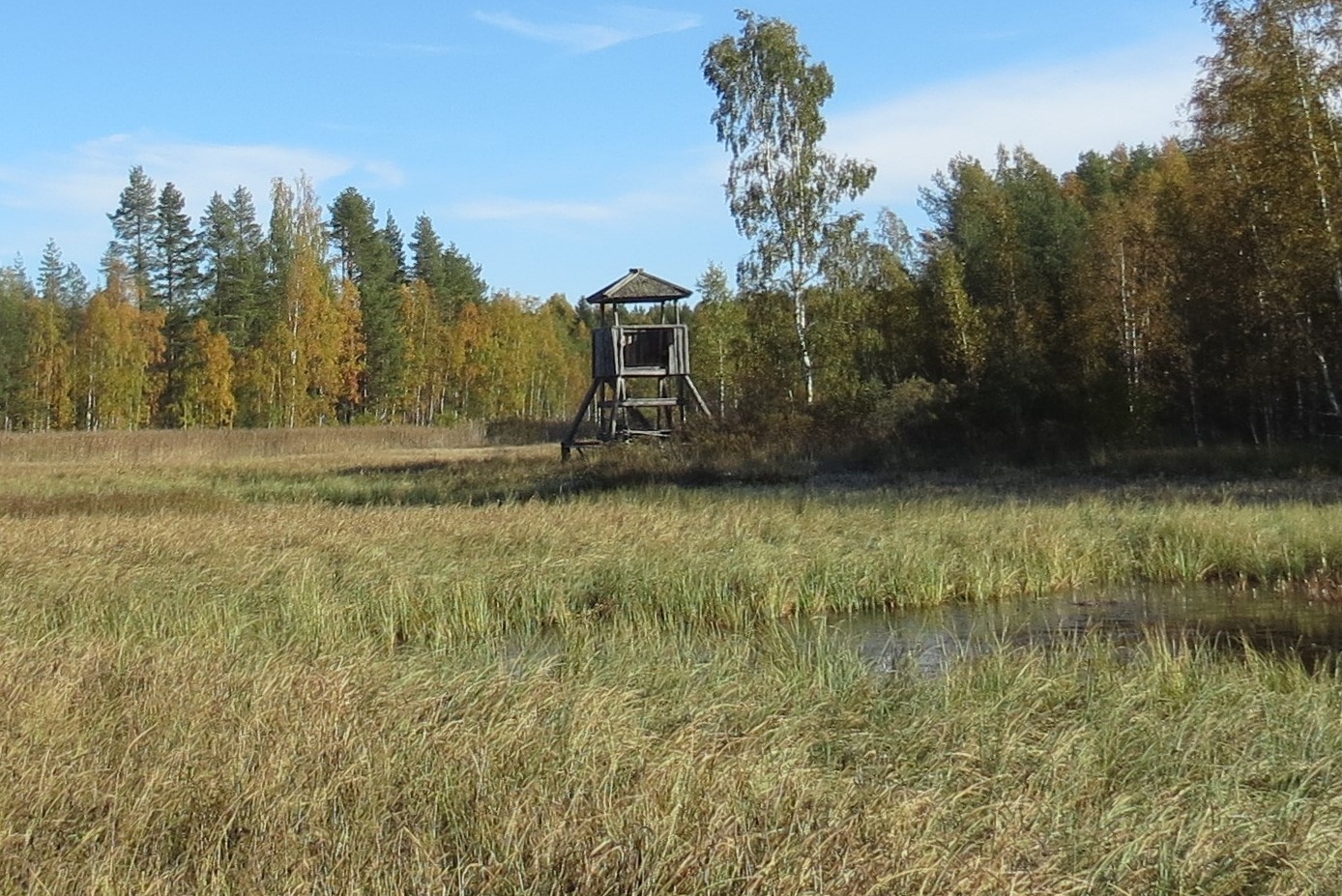 lintutorni Heinäjoki